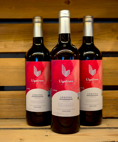 Dry red currant wine - Image 2