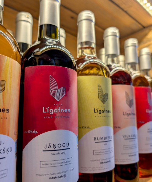 Dry red currant wine - Image 3