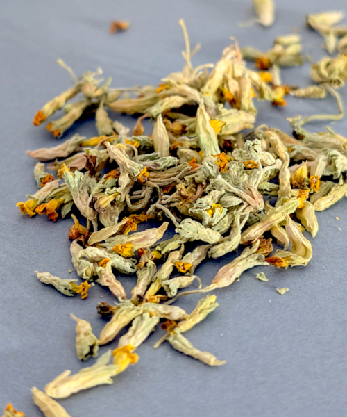 Cowslip Tea - Image 4